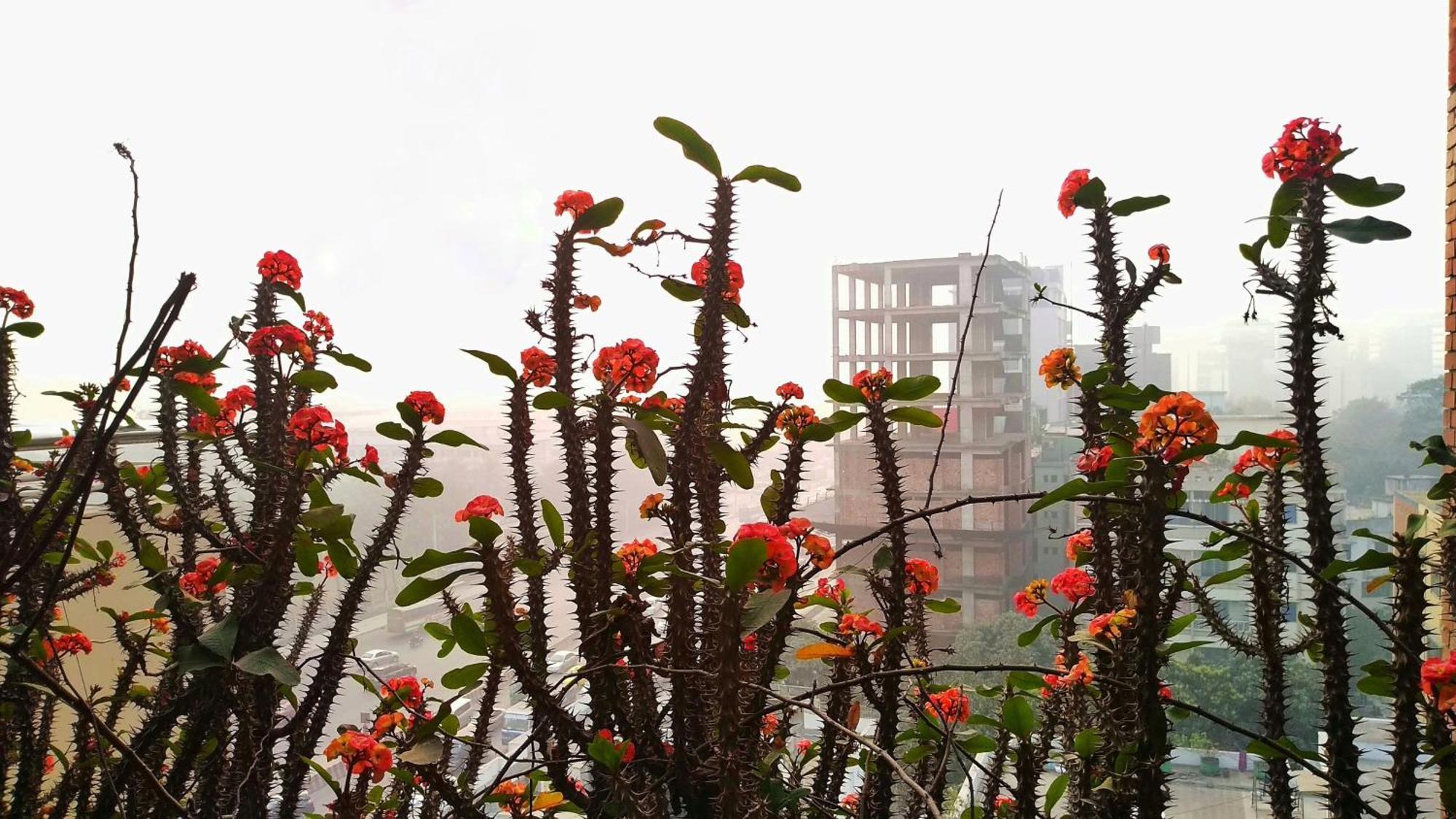 Hotel Afford Inn Dakka Dış mekan fotoğraf
